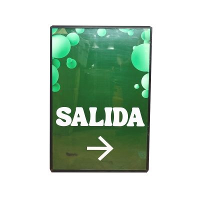 Pantalla Luz Led chica